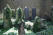 Alter Jüdischer Friedhof